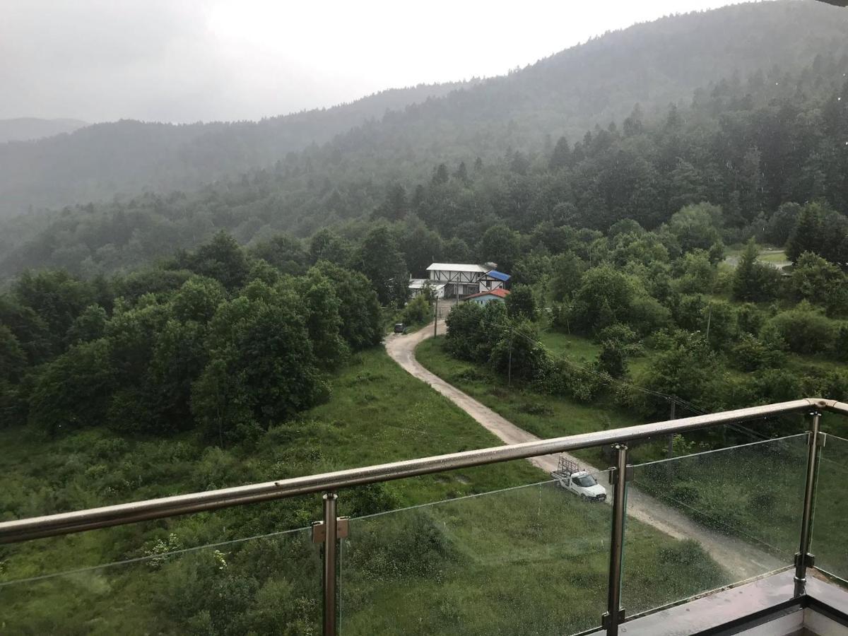 Mountain Residence Σινάια Εξωτερικό φωτογραφία