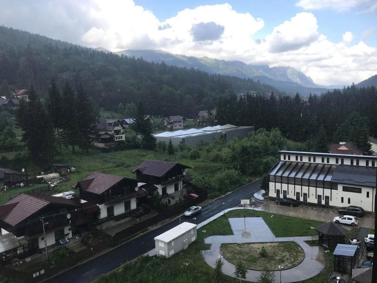 Mountain Residence Σινάια Εξωτερικό φωτογραφία