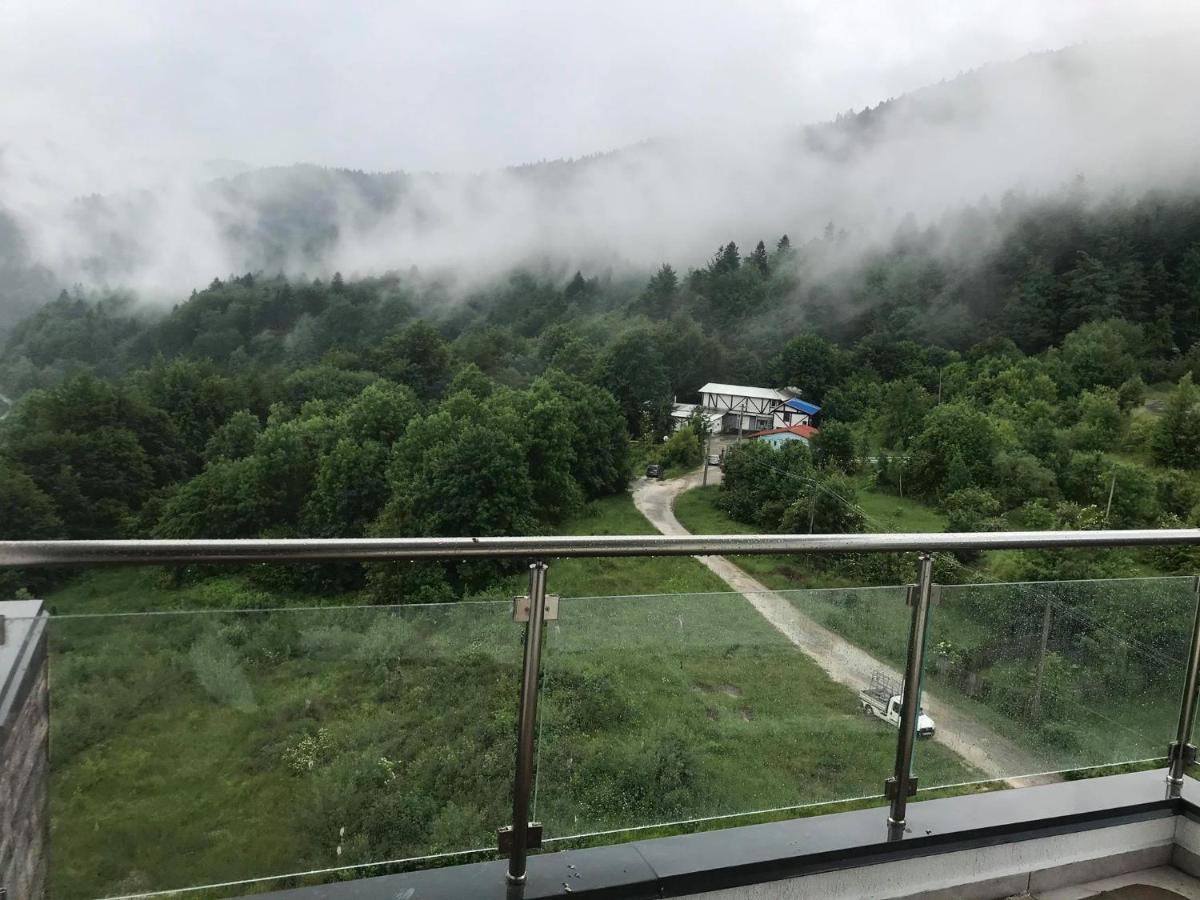 Mountain Residence Σινάια Εξωτερικό φωτογραφία