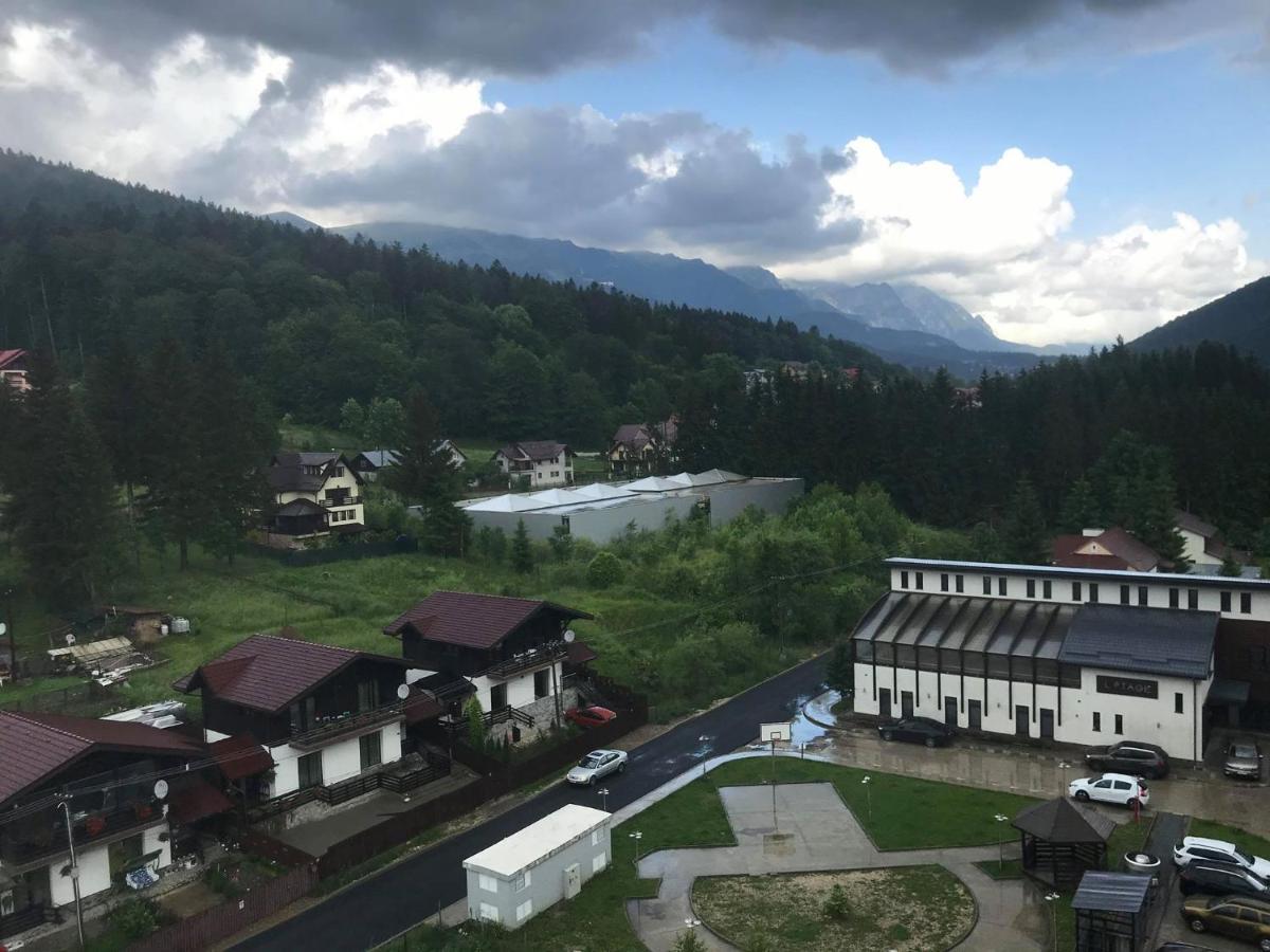 Mountain Residence Σινάια Εξωτερικό φωτογραφία
