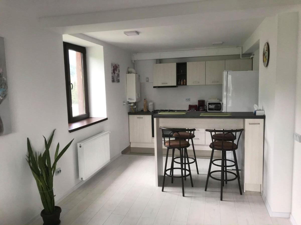 Mountain Residence Σινάια Εξωτερικό φωτογραφία